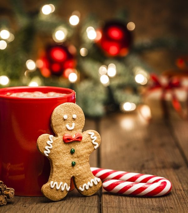 Homemade hot chocolate mug with and Christmas cookies shot on rustic wooden Christmas table. Yellow Christmas lights and Christmas decoration complete the composition. Predominant colors are red and brown. Low key DSRL studio photo taken with Canon EOS 5D Mk II and Canon EF 100mm f/2.8L Macro IS USM